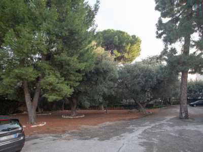 Superiamo cos� un cancello per accedere in un'area verde, dominata da alberi sempreverdi... 